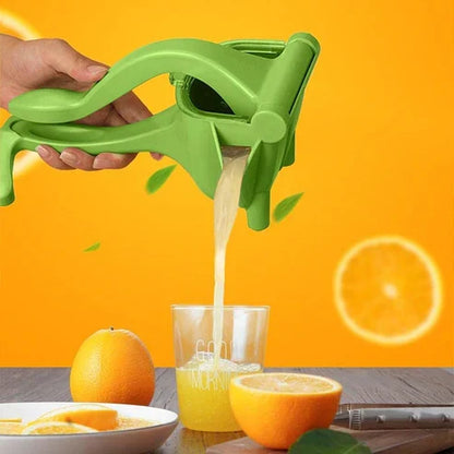 Manual Fruit Press